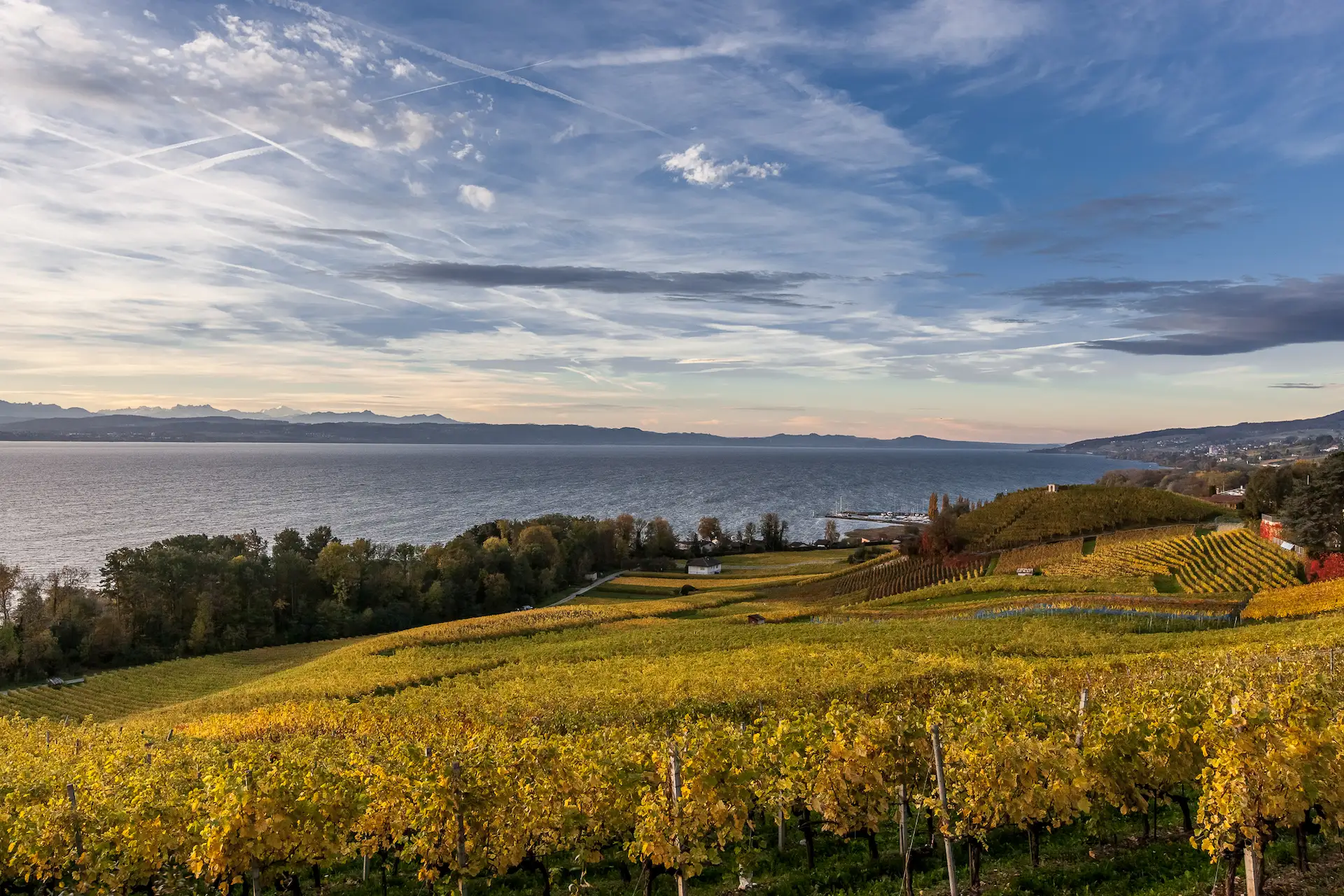 Vignoble neuchâtelois
