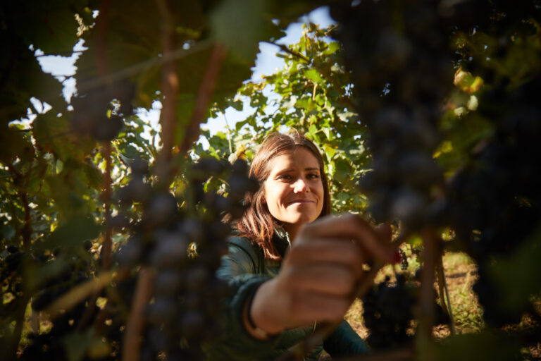 Domaine Saint-Sébaste