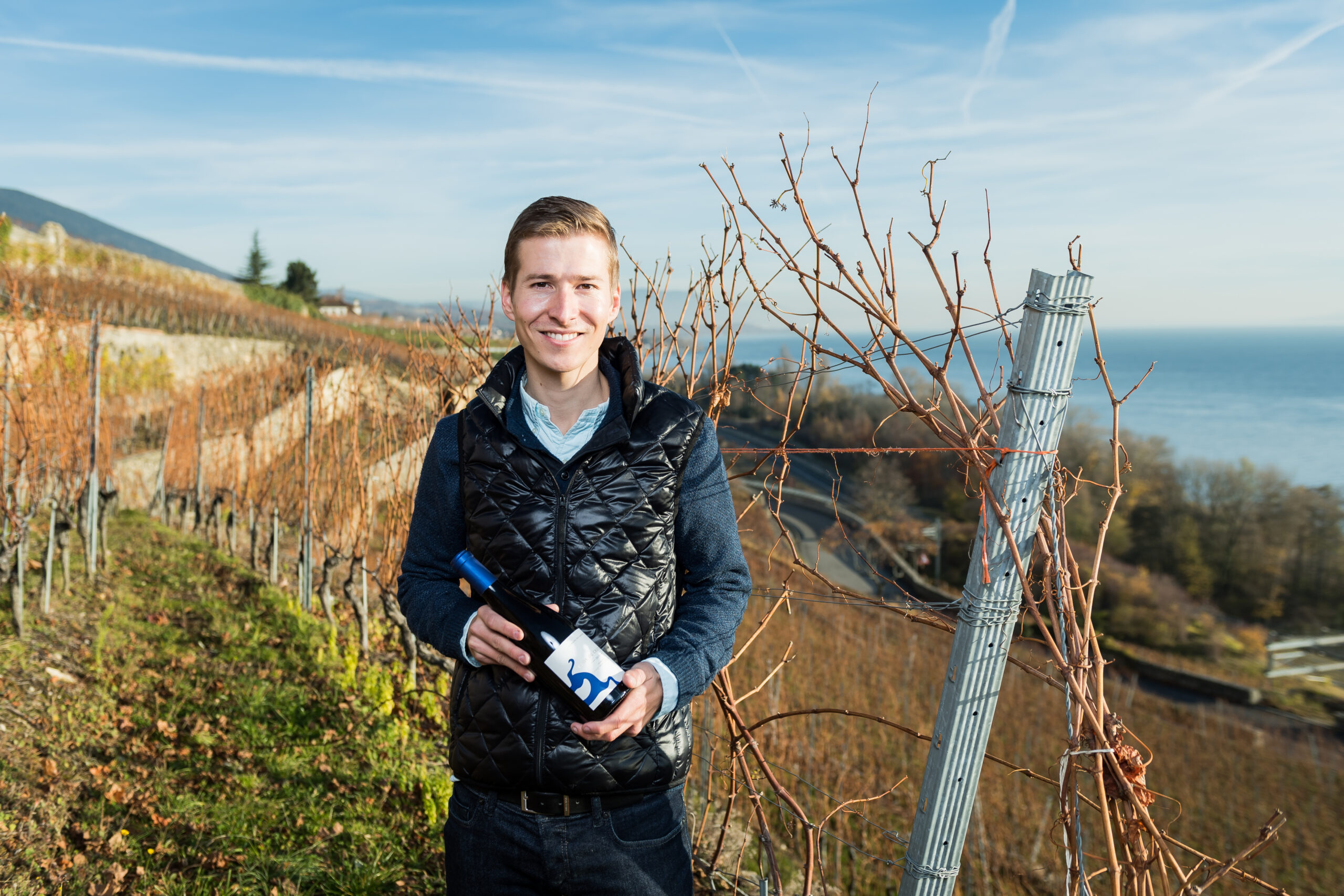 Domaine des Landions